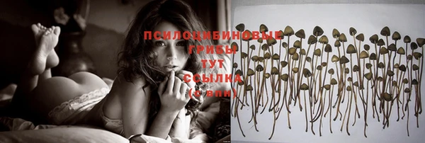 дурь Корсаков