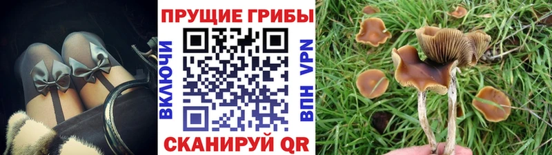Галлюциногенные грибы мухоморы  Купить закладки  Серафимович 